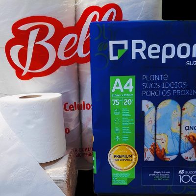 Papéis para uso geral